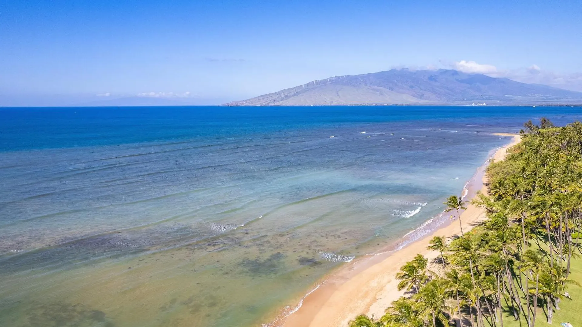Daire 3 Min Walk To Beach With 2 King Beds And Centrally Located Kihei ABD
